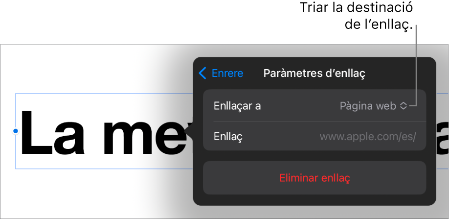 Controls “Paràmetres d’enllaç” amb l’opció “Pàgina web” seleccionada i el botó “Eliminar enllaç” situat a la part inferior.
