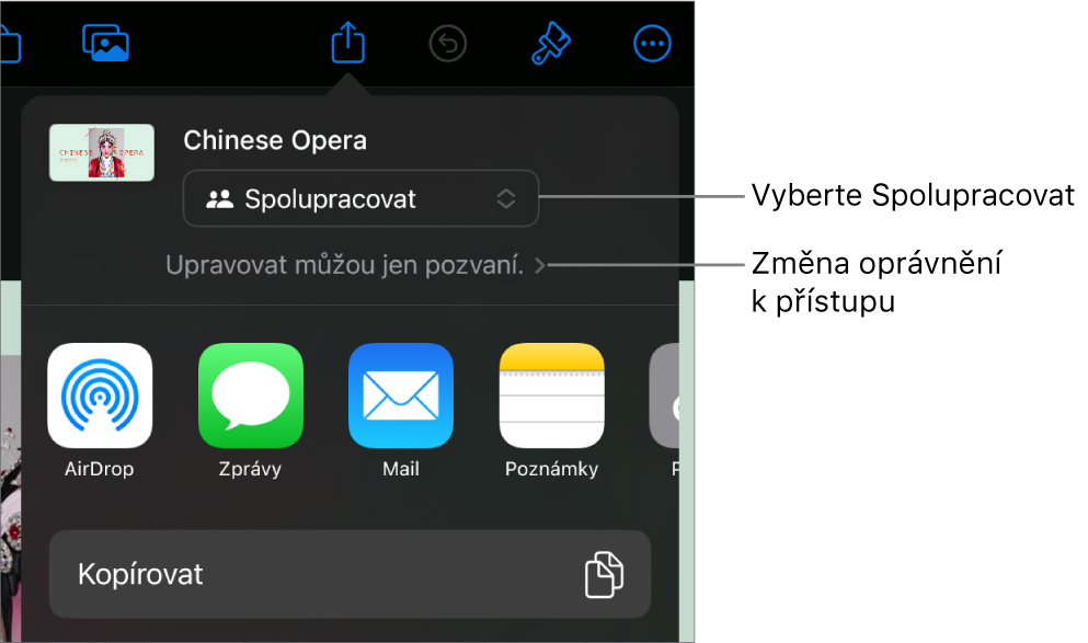 Nabídka sdílení, v níž je nahoře vidět vybraná volba Spolupracovat a pod ní volby pro nastavení přístupu a oprávnění