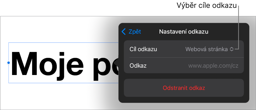 Ovládací prvky Nastavení odkazu s vybranou volbou Webová stránka a tlačítkem Odstranit odkaz v dolní části.