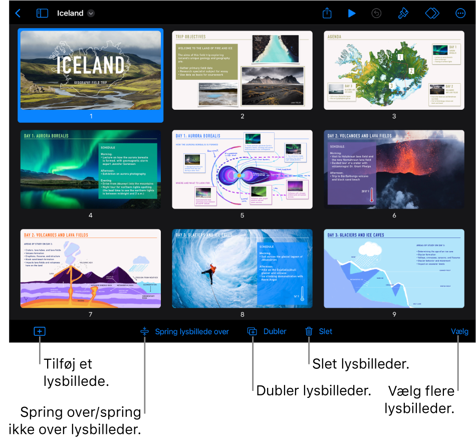 Lysbordsoversigt med knapper nederst på skærmen til at tilføje lysbilleder, springe over lysbilleder, dublere og slette lysbilleder og til at vælge flere lysbilleder.