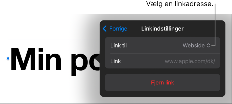 Link-værktøjet med websiden er valgt, med knapperne Fjern og Åbn Link i bunden.