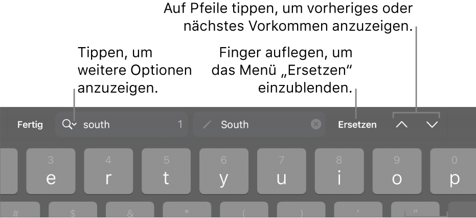 Die Steuerelemente „Suchen & Ersetzen“ über der Tastatur mit Beschreibungen zur Taste für Suchoptionen, zur Taste „Ersetzen“ und zu den Aufwärts- und Abwärts-Tasten.
