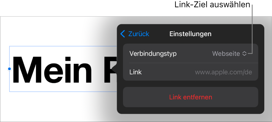 Die Steuerelemente der Linkeinstellungen mit ausgewählter Webseite und der Taste „Link entfernen“ unten.