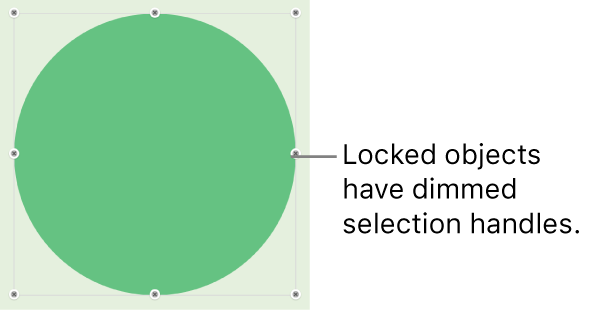 A locked object with dimmed selection handles.