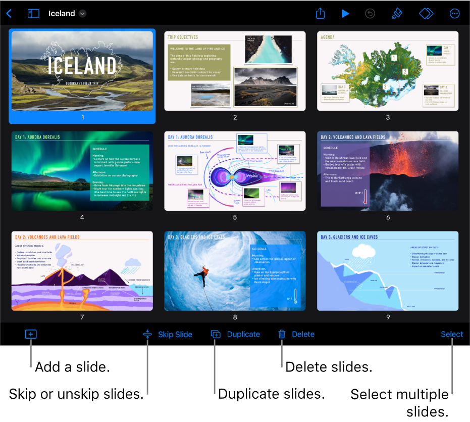 Light table view with buttons at the bottom of the screen for adding, skipping, duplicating and deleting slides, and for selecting multiple slides.