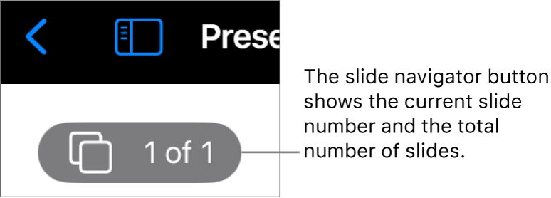 The slide navigator button showing the current slide number and the total number of slides in the presentation.