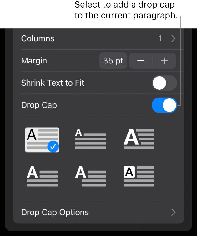 The Drop Cap controls located at the bottom of the Text menu.