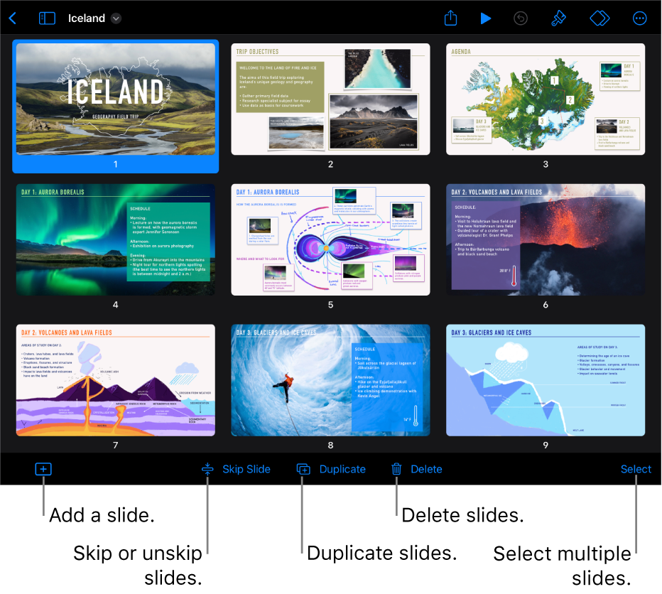 Light table view with buttons at the bottom of the screen for adding, skipping, duplicating, and deleting slides, and for selecting multiple slides.