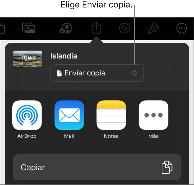 El menú Compartir con la opción Enviar copia seleccionada en la parte superior.