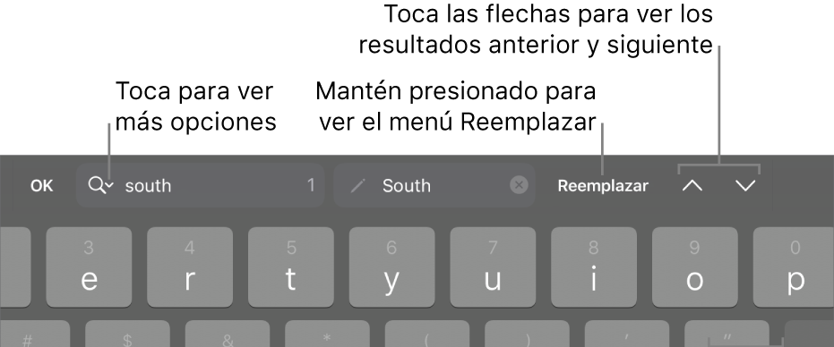 Los controles Buscar y Reemplazar arriba del teclado con mensajes en los botones Opciones de Búsqueda, Reemplazar, Subir y Bajar.