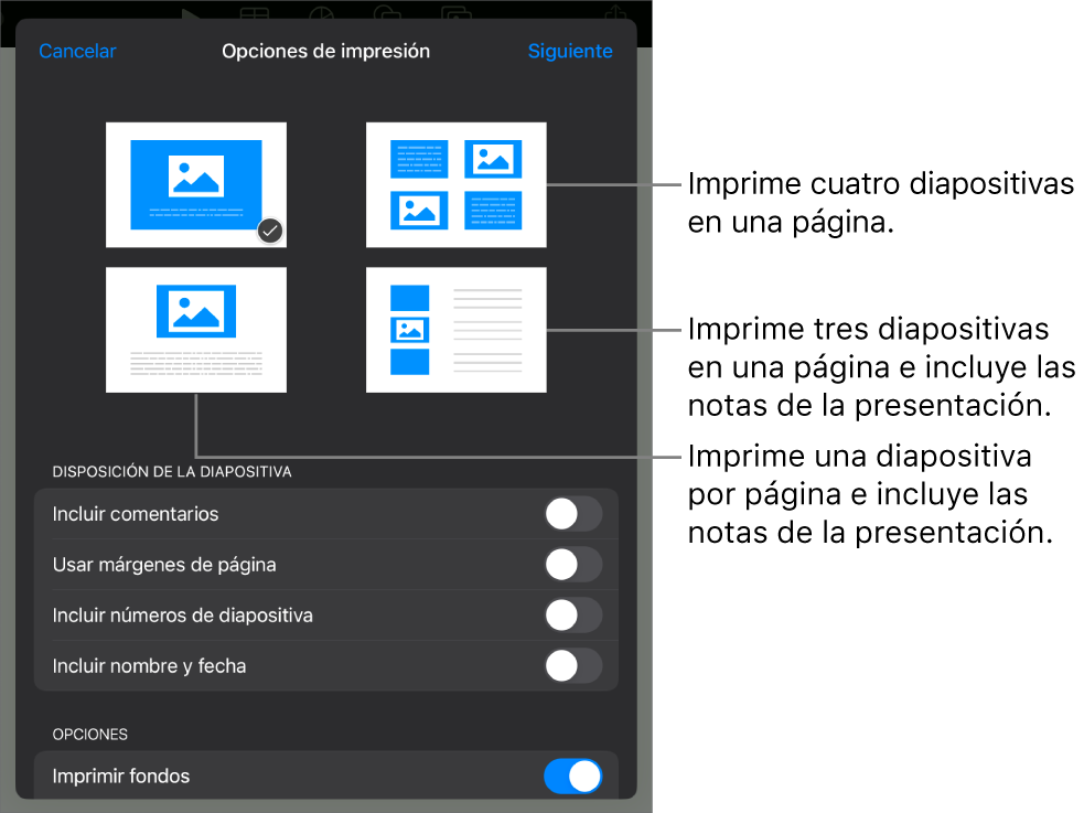 Opciones de disposición de impresión.