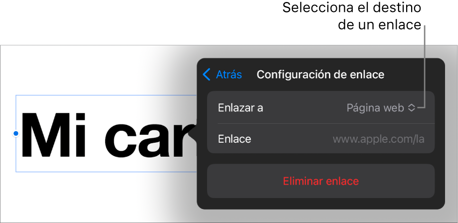 Los controles de Configuración de enlace con la opción Página Web seleccionada, y el botón Eliminar enlace en la parte de abajo.