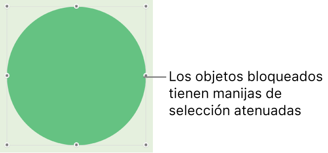 Un objeto bloqueado con manijas de selección atenuadas.