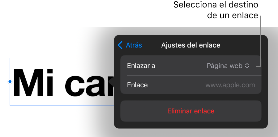 Controles de “Ajustes de enlace” con la opción “Página web” seleccionada y el botón “Eliminar enlace” en la parte inferior.