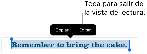 Hay seleccionada una oración y encima de ella aparece un menú contextual con botones Copiar y Editar.