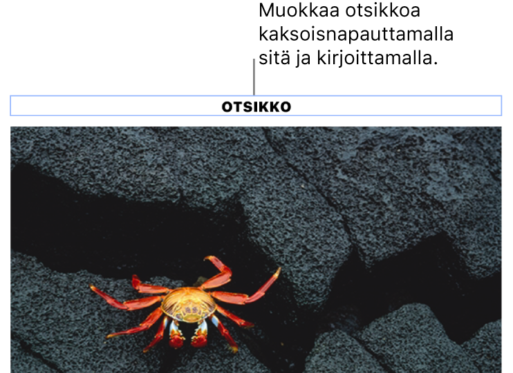 Paikanvaraajaotsikko ”Otsikko” näkyy kuvan alla, siniset ääriviivat otsikkokentän ympärillä osoittavat, että se on valittuna.