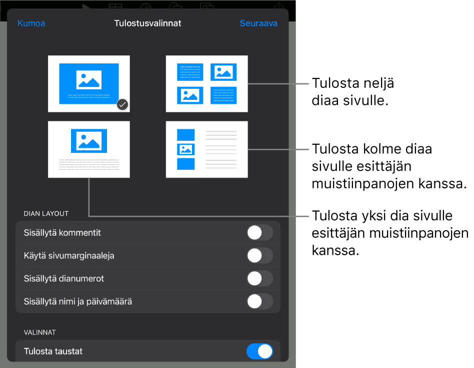 Tulostuksen asettelun valinnat.
