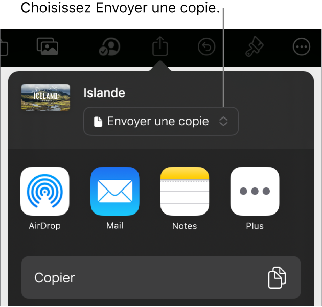 Le menu Partager avec l’option Envoyer une copie sélectionnée dans le haut.