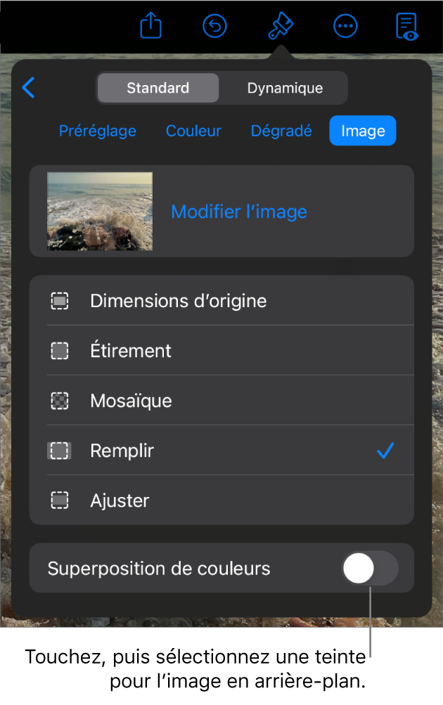 Les commandes Arrière-plan avec une image réglée comme arrière-plan des diapositives et la commande Superposition de couleurs au bas.