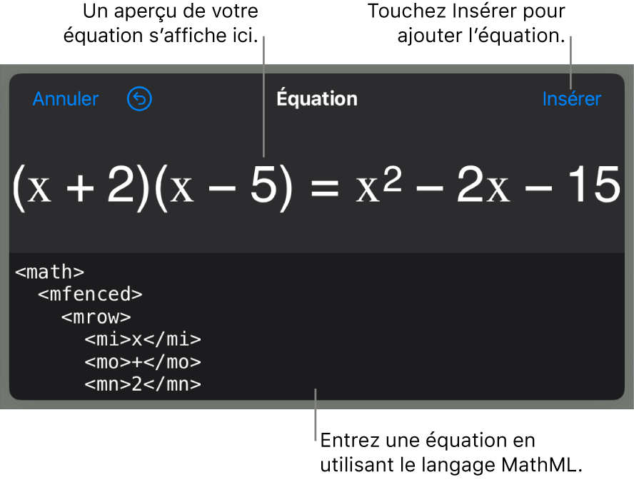 Zone de dialogue Équation, affichant une équation composée à l’aide des commandes MathML et aperçu de la formule au-dessus.