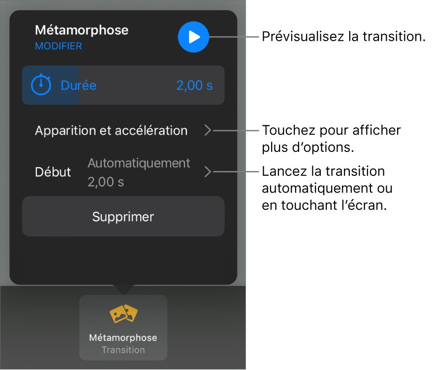 Commandes Métamorphose de la sous-fenêtre Transitions.