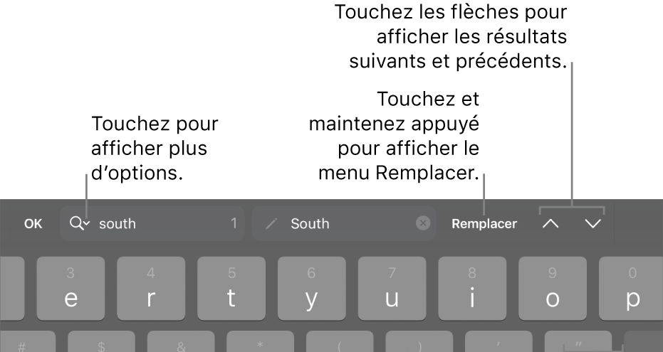 Les commandes Rechercher et remplacer au-dessus du clavier avec des légendes pour les boutons Options de recherche, Monter et Descendre.