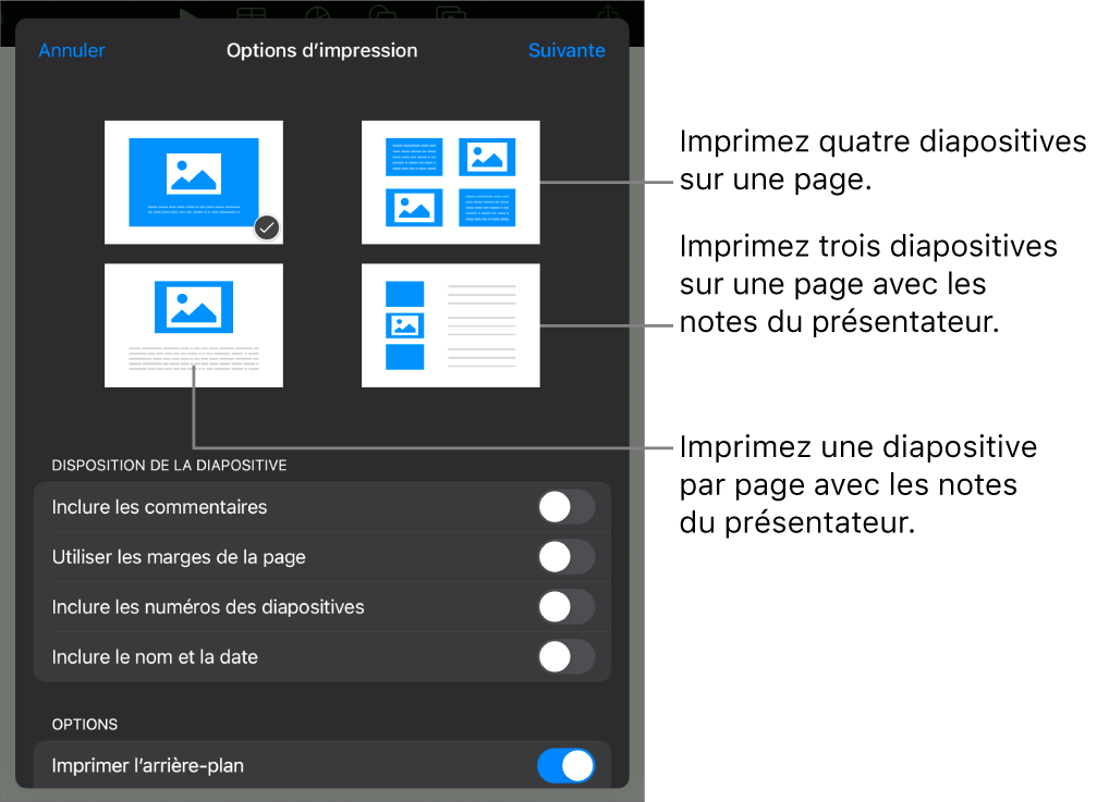 Options de disposition d’impression