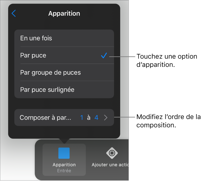 Options d’apparition de la sous-fenêtre Entrée.
