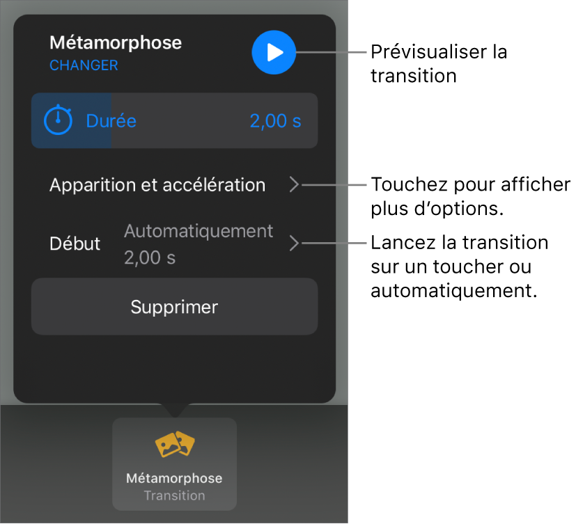 Commandes Métamorphose de la sous-fenêtre Transitions.