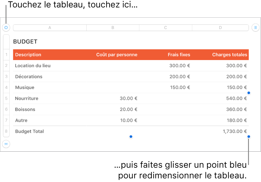 Un tableau sélectionné avec des points bleus pour le redimensionner.