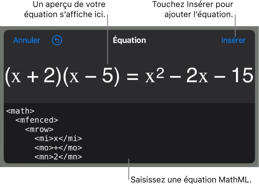 Zone de dialogue Équation, affichant une équation composée à l’aide des commandes MathML et aperçu de la formule au-dessus.