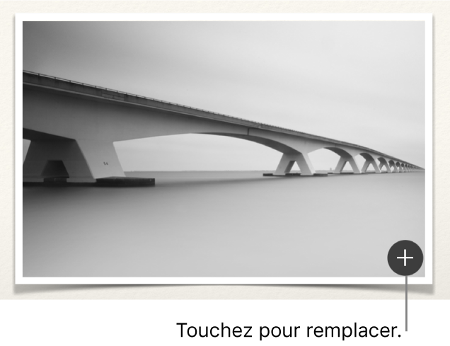 Illustration du bouton Remplacer l’image.