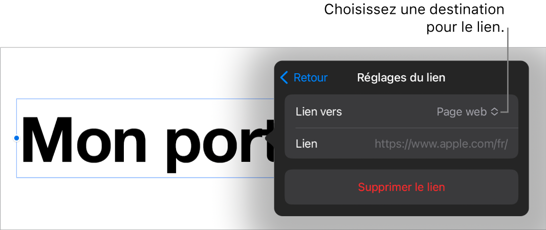 Les commandes Réglages du lien avec une page web sélectionnée et le bouton Supprimer le lien en bas.