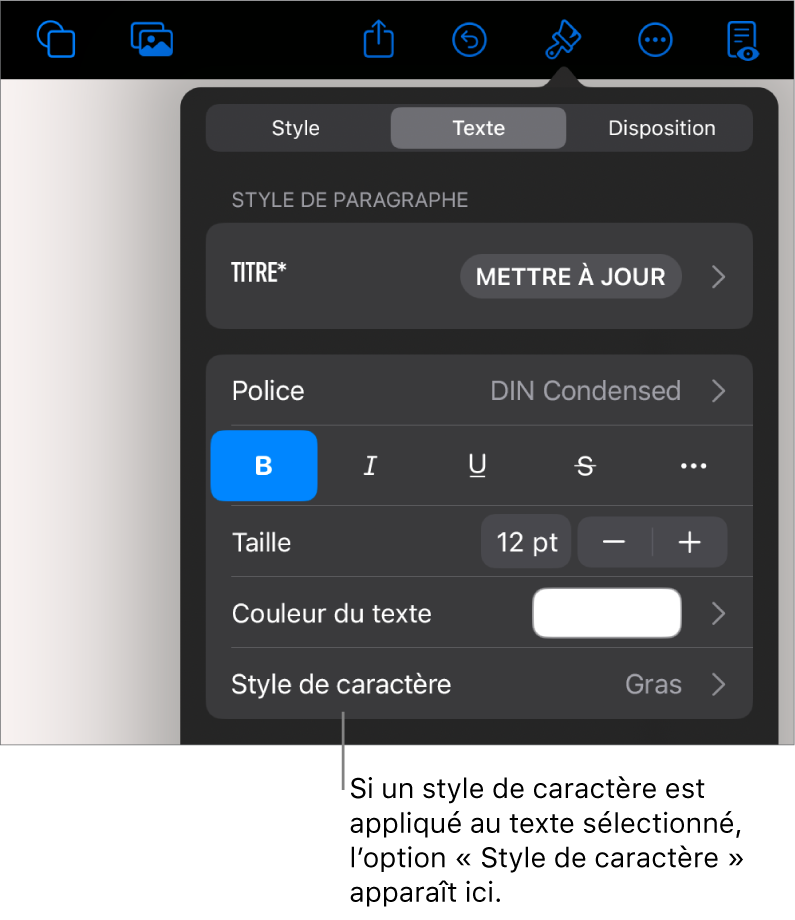 Commandes de mise en forme de texte avec Style de caractère au-dessous des commandes de couleur. Le style de caractère Aucun s’affiche avec un astérisque.