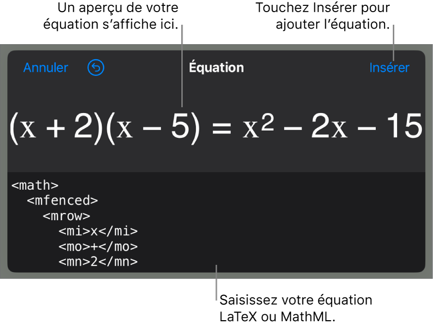 Zone de dialogue Équation, affichant une équation composée à l’aide des commandes MathML, et un aperçu de la formule au-dessus.