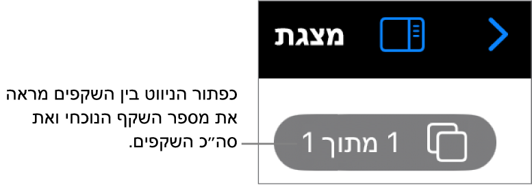 הכפתור של נווט השקפים, מציג את המספר של השקף הנוכחי ואת המספר הכולל של שקפים במצגת.