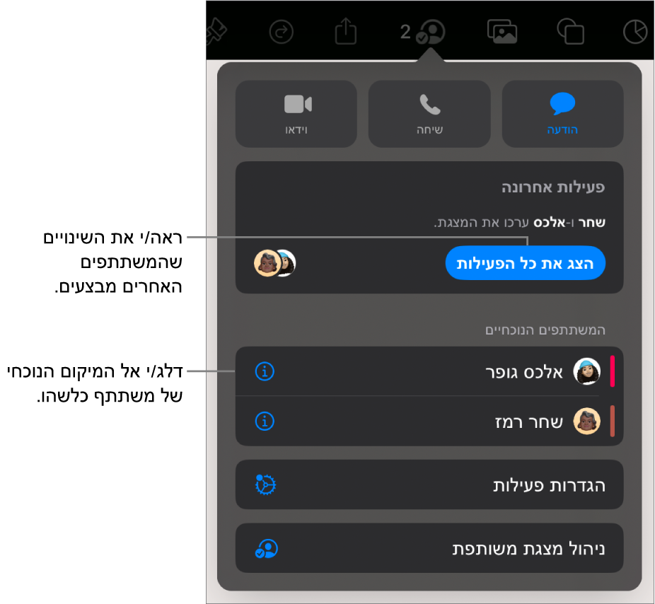 תפריט ״שיתוף פעולה״ שרואים בו משתתפים פעילים כעת.