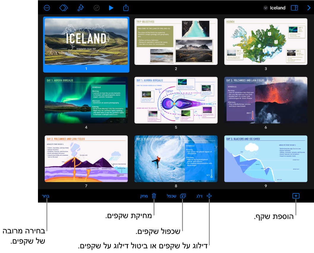 התצוגה ״שולחן אור״ עם כפתורים בתחתית המסך להוספה, דילוג, שכפול ומחיקה של שקפים ולבחירת מספר שקפים ביחד.