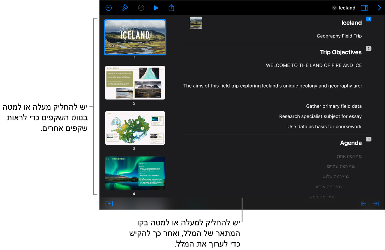 תצוגת מתאר עם מתאר המלל בצד ימין של המסך ונווט השקפים האנכי בצד שמאל.