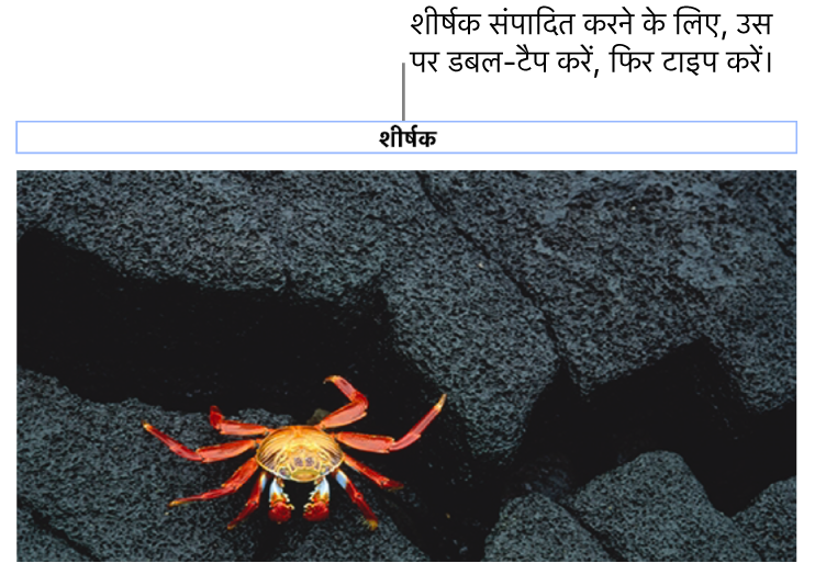 प्लेसहोल्डर शीर्षक, “शीर्षक” तस्वीर के नीचे दिखाई देता है; यह चयनित है दिखाने के लिए शीर्षक फ़ील्ड के चारों तरफ़ एक नीली आउटलाइन दिखाई देती है।