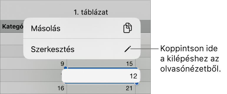 Egy kijelölt táblázatcella, amely fölött a Másolás és Szerkesztés gombokat tartalmazó menü látható.