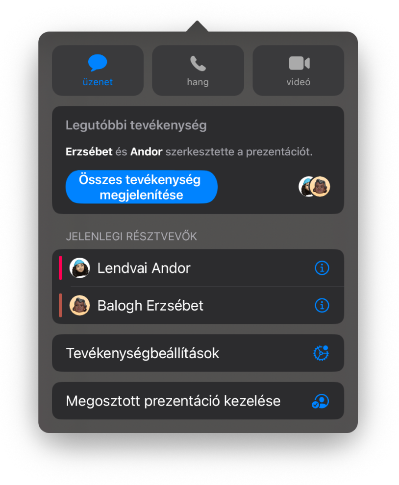 Az együttműködés menü, amelyben a prezentáción együttműködő személyek nevei láthatók.