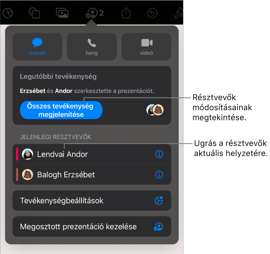 Az együttműködési menü a jelenlegi résztvevőkkel.