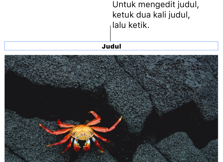 Judul placeholder, “Judul”, muncul di bawah foto; kerangka biru di sekitar bidang judul menampilkan bahwa objek dipilih.