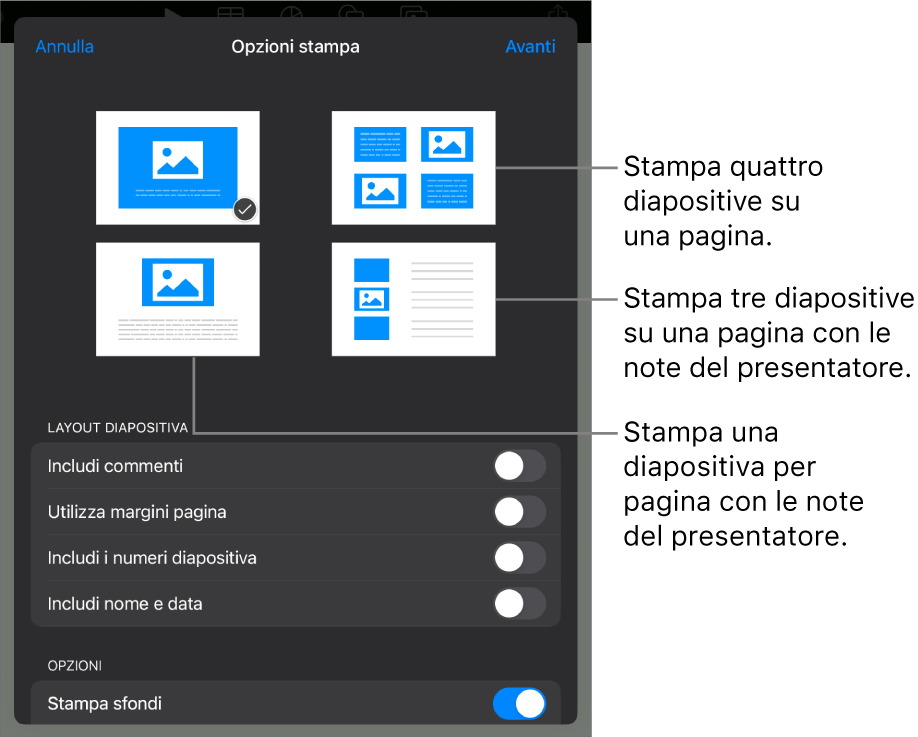 Opzioni layout di stampa.