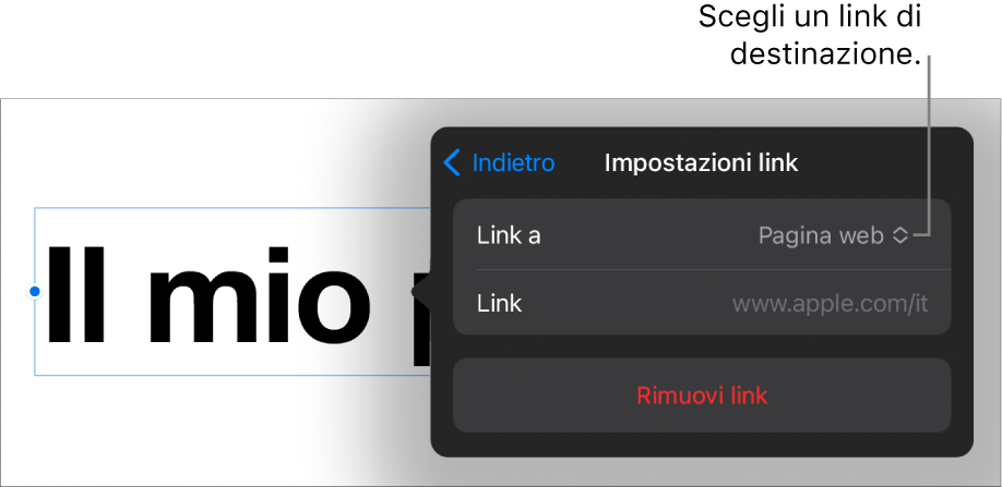 I controlli delle impostazioni dei link con la pagina web selezionata e con il pulsante per rimuovere il link mostrato in basso.
