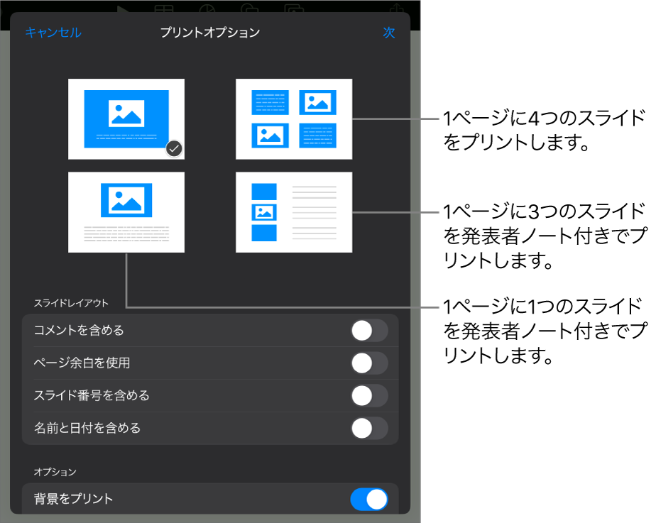 プリントレイアウトオプション。