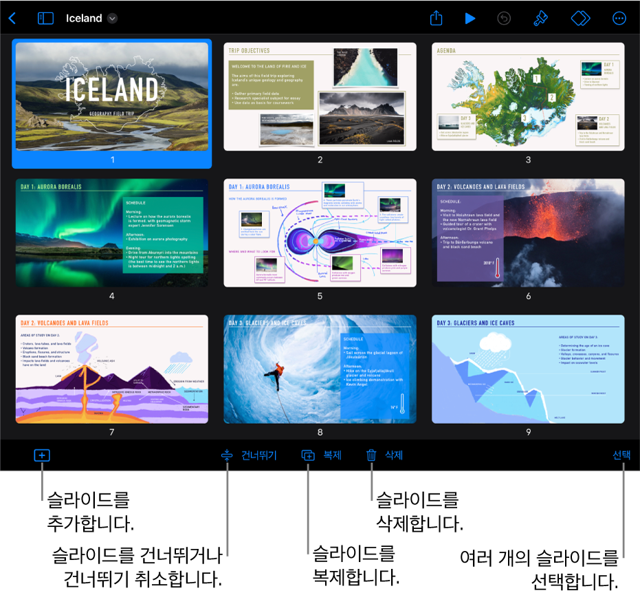 화면 하단의 라이트 테이블 보기에 슬라이드를 추가, 건너뛰기, 복제, 삭제하고, 여러 개의 슬라이드를 선택하는 버튼이 있음.