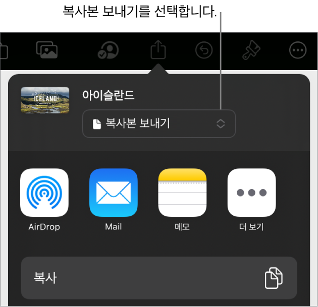 상단에 복사본 보내기가 선택되어 있는 공유 메뉴.
