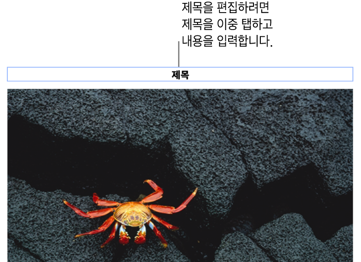 사진 아래에 ‘제목’이라고 나타나는 위치 지정자 제목. 제목 필드 주위의 파란색 윤곽선은 선택되었음을 나타냄.